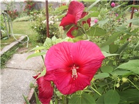 ce022126-Picture 004.jpg